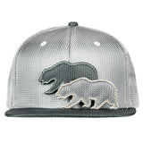 Removable Bear Silver Ballistic Fitted Hat