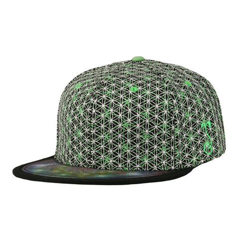 Laser Guided Visions Silver Green Snapback