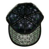 Laser Guided Visions Silver Green Snapback