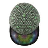 Laser Guided Visions Silver Green Snapback