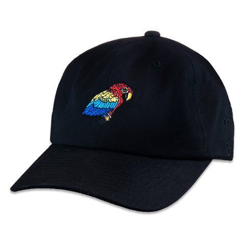 Grassroots California Scarlet Macaw Black Dad Hat