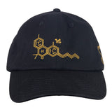 Grassroots California THC Bee Black Dad Hat